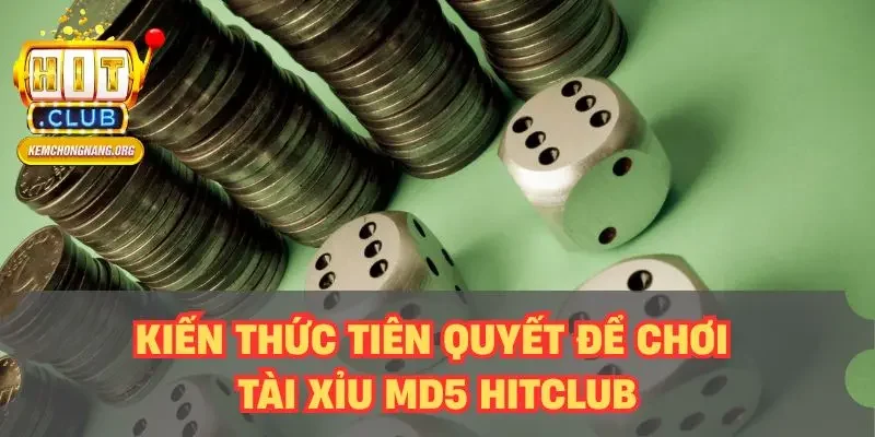 Kiến thức tiên quyết để chơi tài xỉu MD5 HITCLUB